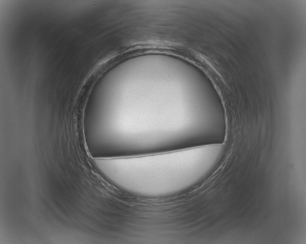 X0000083991307200702160720
