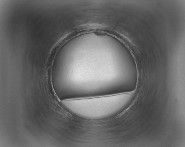 X0000083991309200702160720