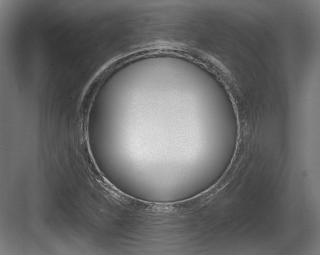 X0000083991310200702160720