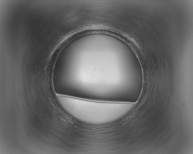 X0000083991311200702160720