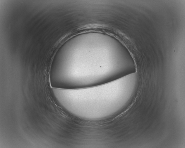 X0000083991313200702160720