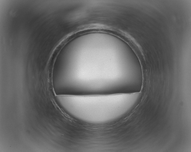 X0000083991318200702160720