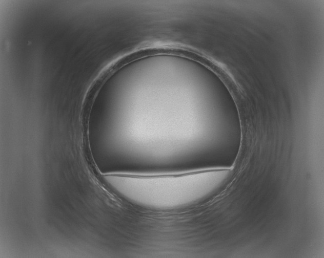X0000083991319200702160720