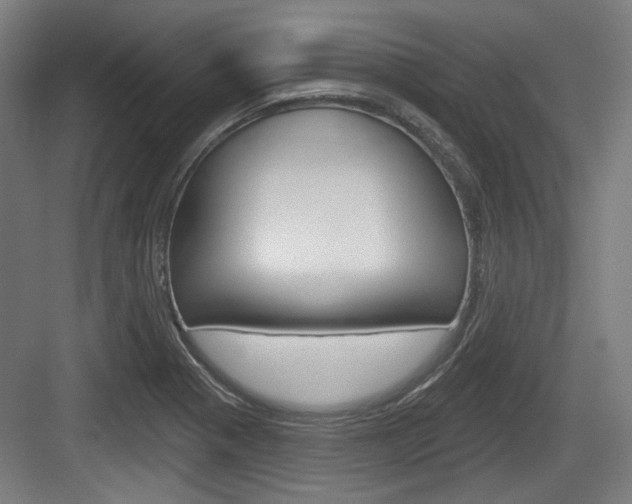 X0000083991321200702160720