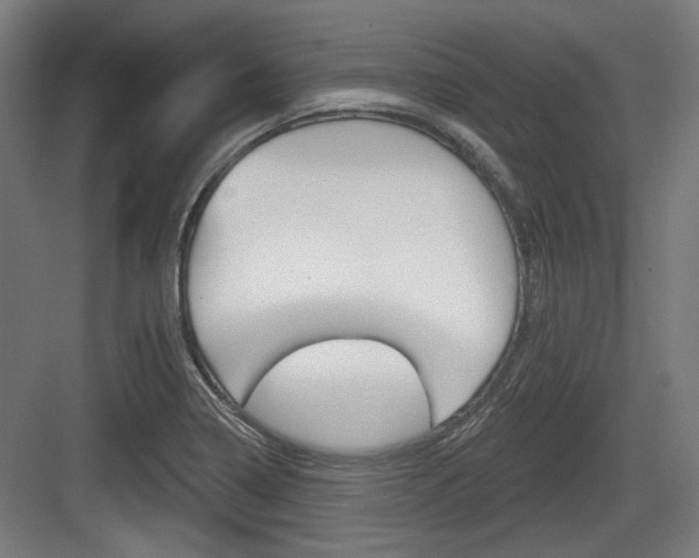 X0000083991322200702160720