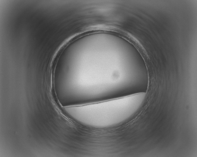 X0000083991323200702160720