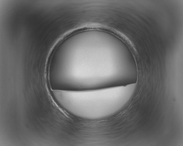 X0000083991327200702160720