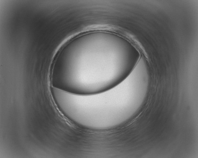 X0000083991328200702160721