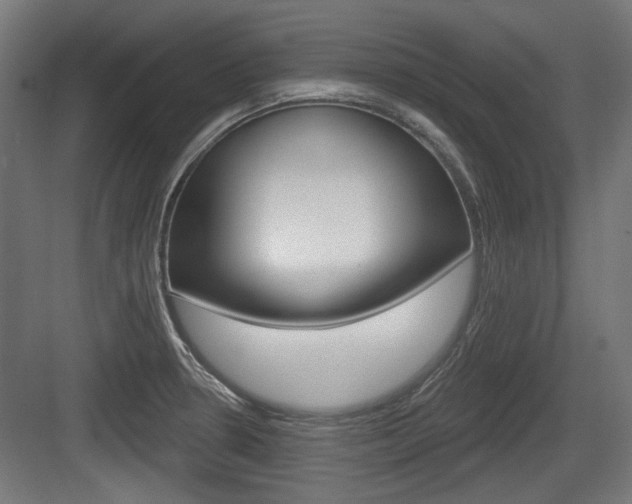 X0000083991330200702160721
