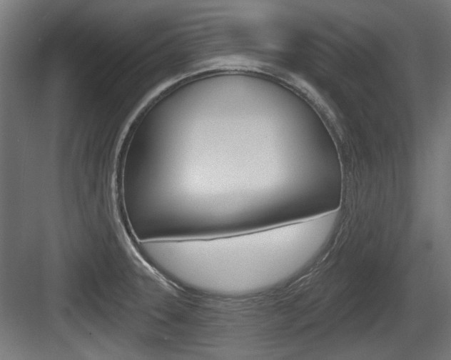X0000083991331200702160721