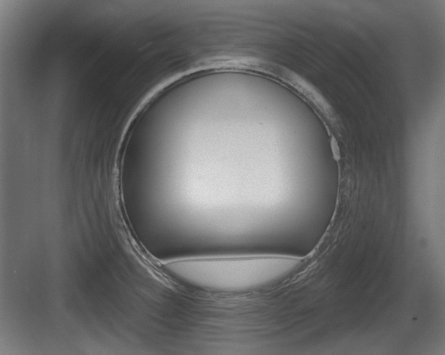X0000083991332200702160721