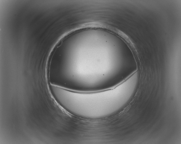 X0000083991334200702160721