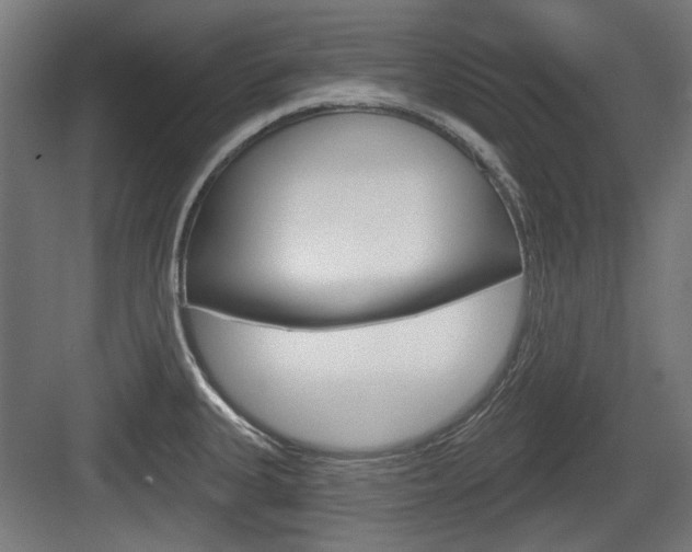 X0000083991335200702160721