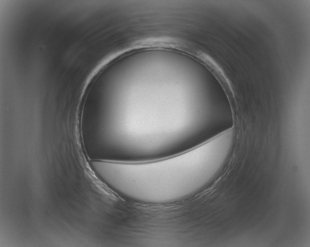 X0000083991336200702160721