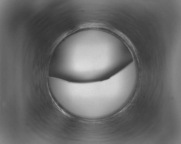 X0000083991337200702160721
