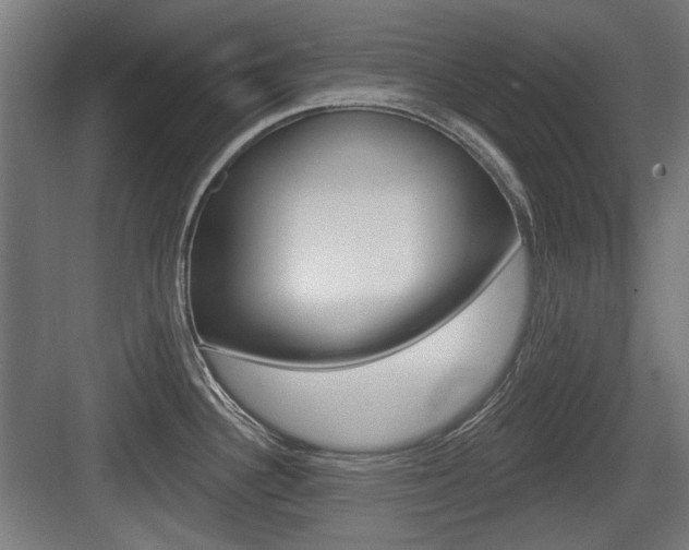 X0000083991340200702160721