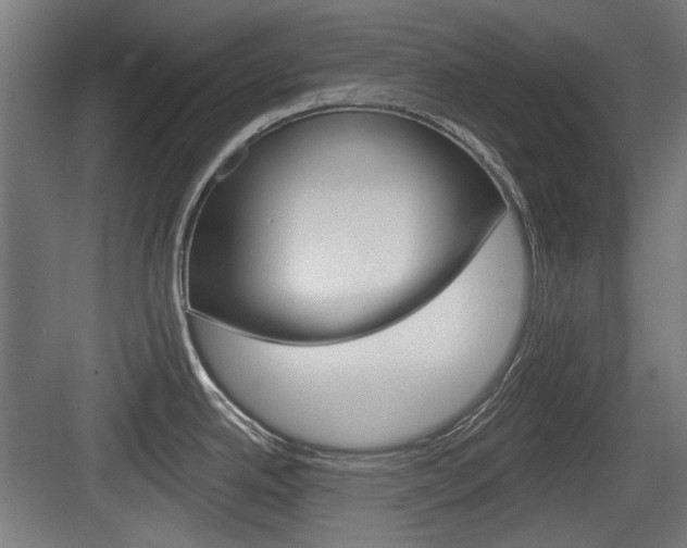 X0000083991342200702160721