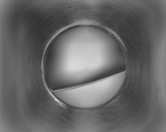 X0000083991343200702160721