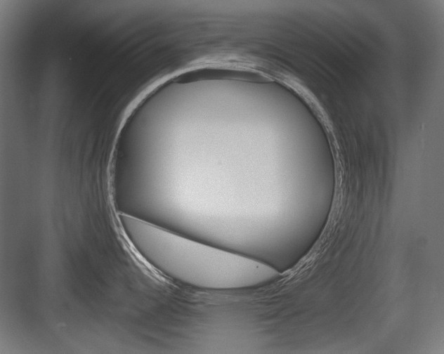 X0000083991344200702160721