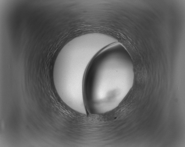 X0000083991345200702160720