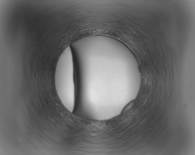 X0000083991346200702160720
