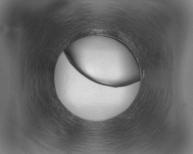 X0000083991347200702160720