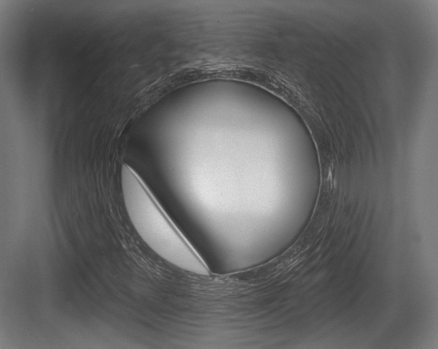 X0000083991348200702160720