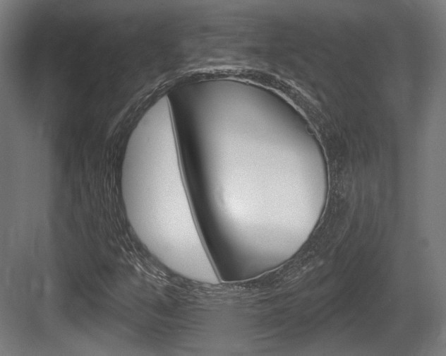 X0000083991351200702160720