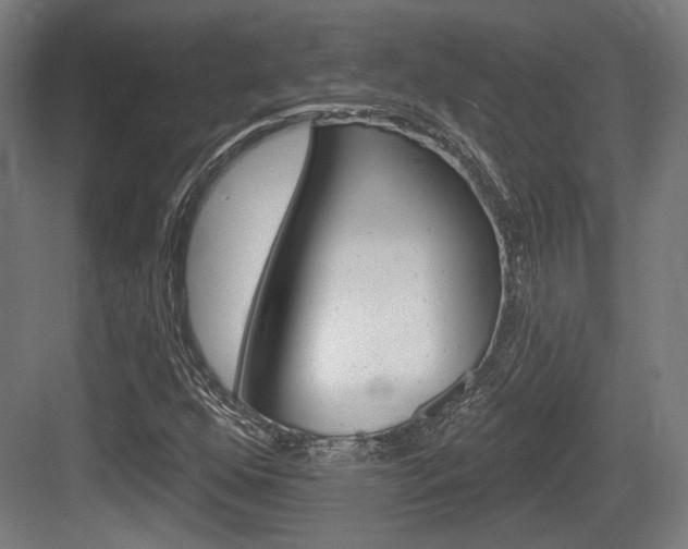 X0000083991352200702160720