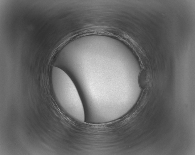 X0000083991354200702160720