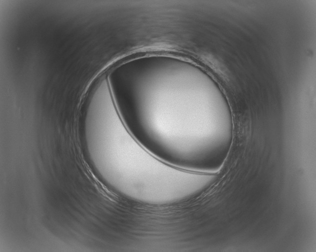 X0000083991356200702160720