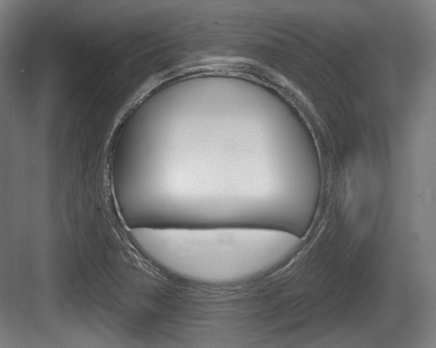 X0000083991362200702160720