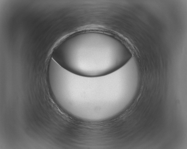 X0000083991363200702160720