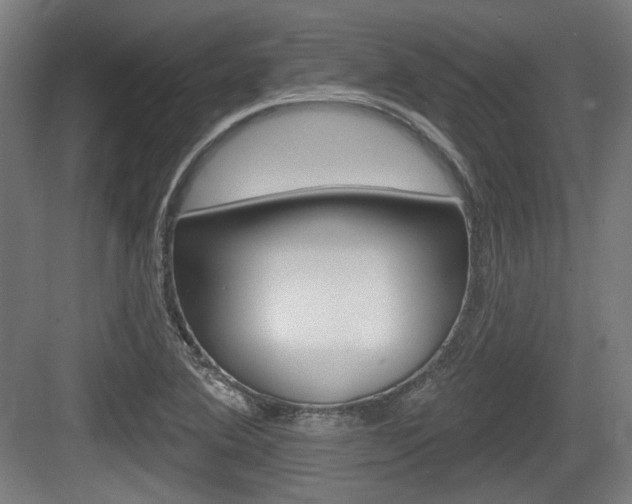 X0000083991364200702160720