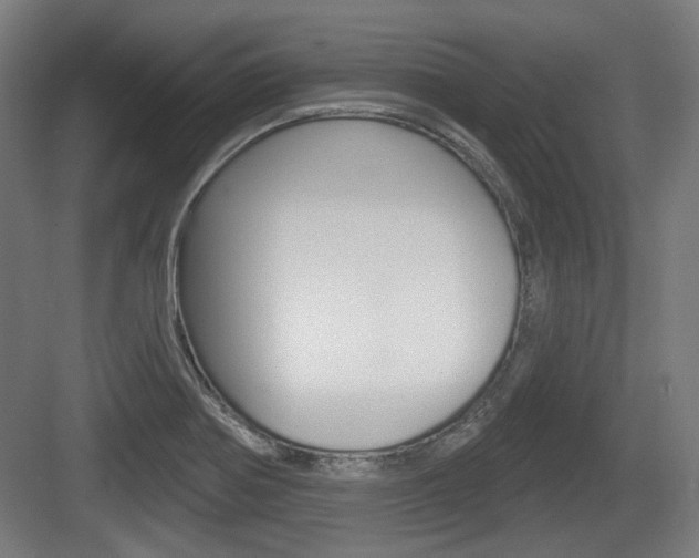 X0000083991370200702160720