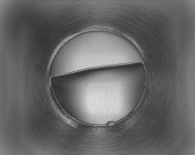 X0000083991371200702160720