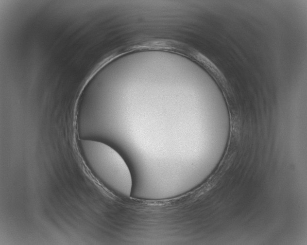 X0000083991378200702160719
