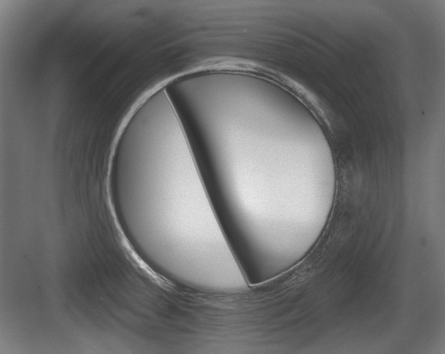 X0000083991379200702160719