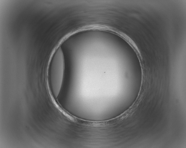 X0000083991381200702160719