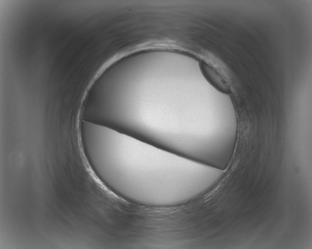 X0000083991382200702160719