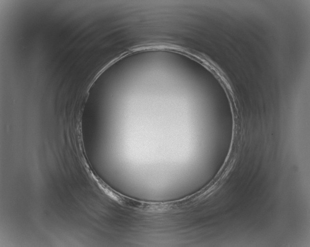 X0000083991385200702160719