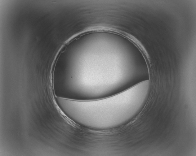 X0000083991388200702160719