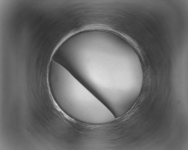X0000083991390200702160719