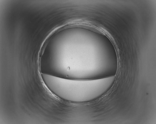 X0000083991392200702160719