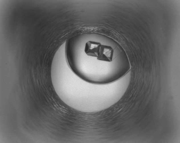 X0000083991394200702160718