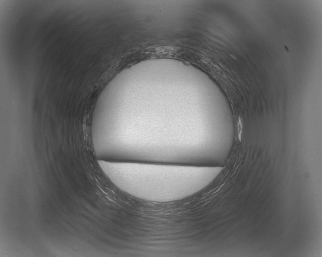 X0000083991395200702160718