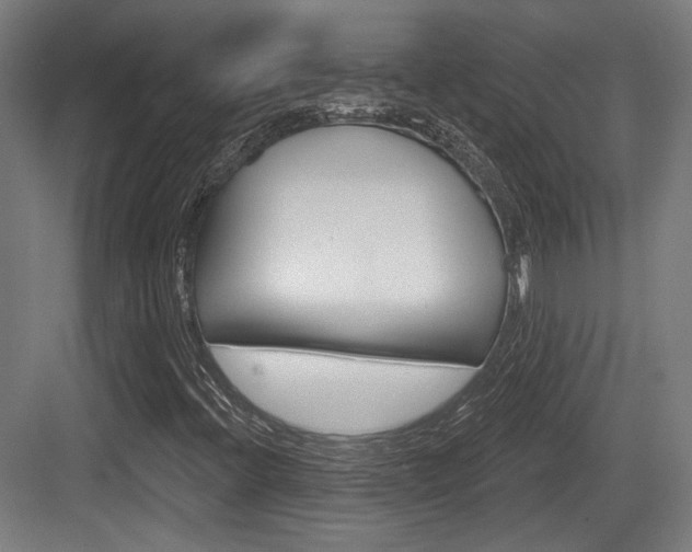 X0000083991396200702160718
