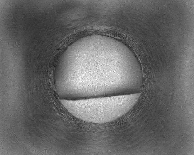 X0000083991397200702160718