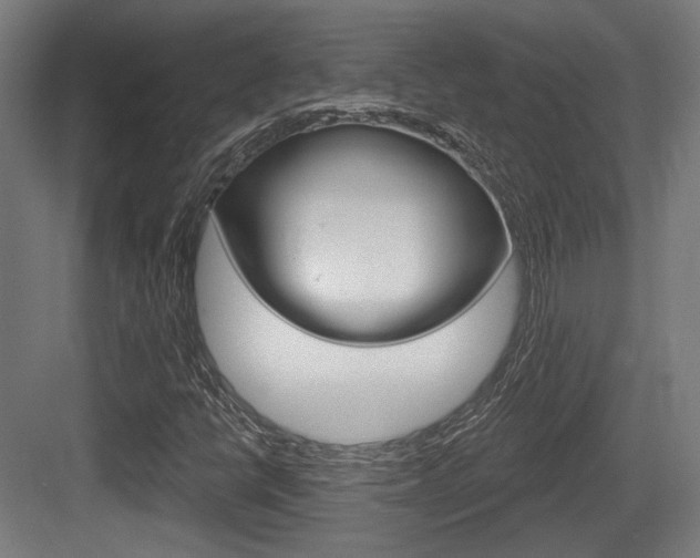 X0000083991398200702160718