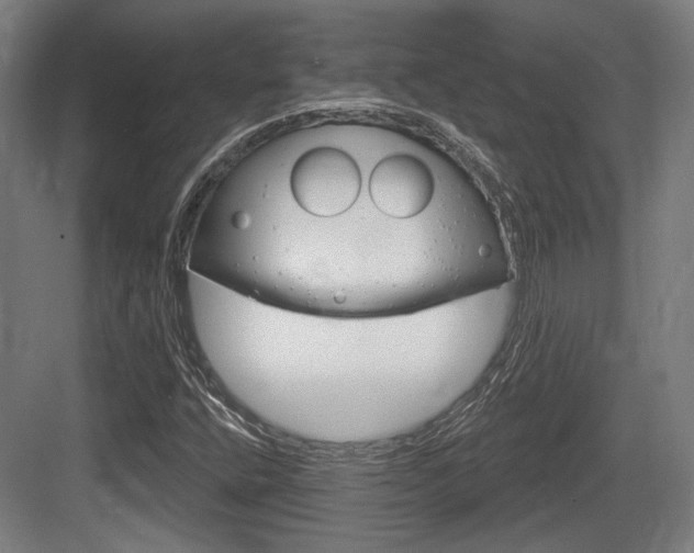 X0000083991400200702160719